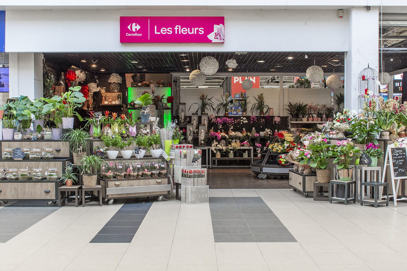 Carrefour Fleurs