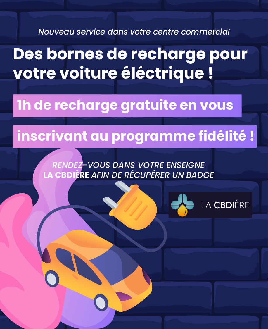 Les bornes de recharge éléctrique