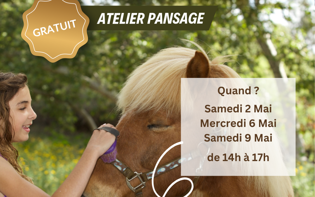 🐴✨ Les poneys débarquent à La Ville du Bois !